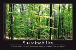 Sustainability-300x200